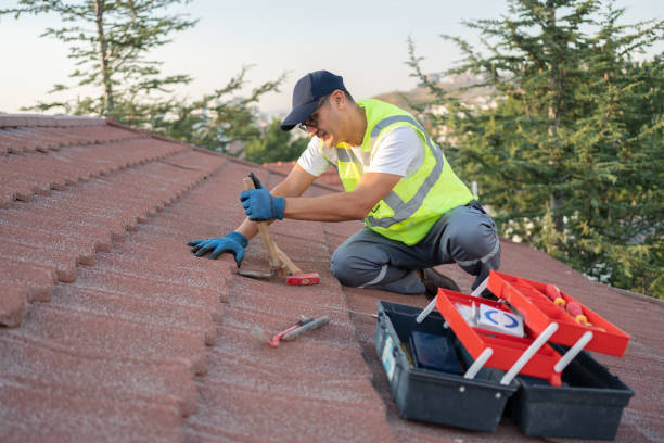 Best Roof Gutter Cleaning  in Weston, NJ